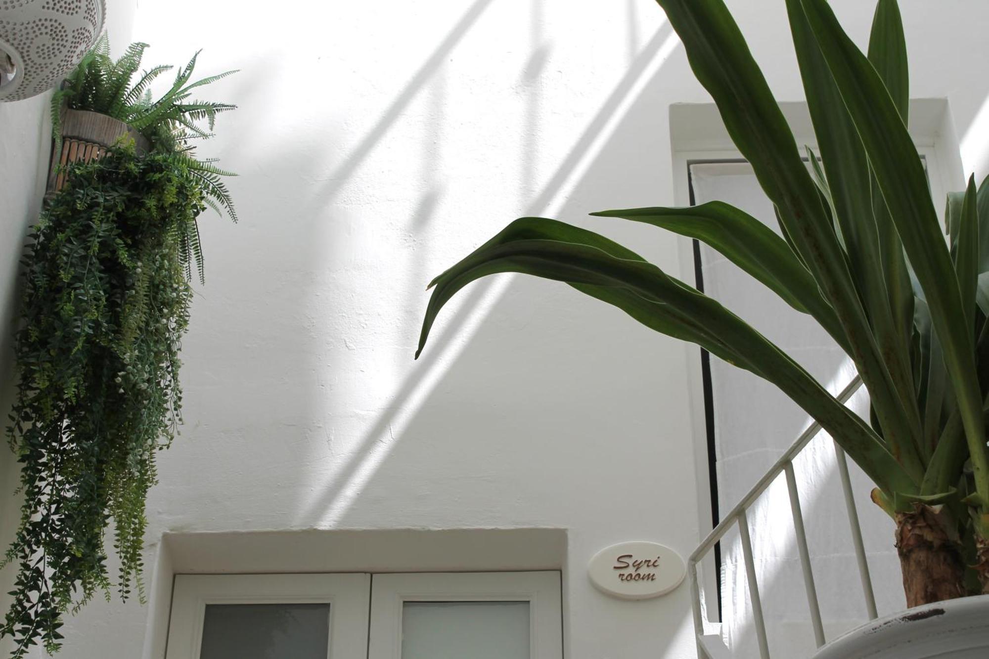 Palmieri Luxury Rooms ガリポリ エクステリア 写真